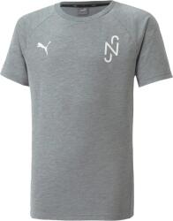 PUMA NJR Evostripe T-Shirt Grau F05 Rövid ujjú póló 605604-005 Méret M