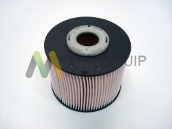 MOTAQUIP filtru combustibil MOTAQUIP LVFF691 (LVFF691)