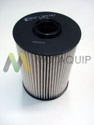 MOTAQUIP filtru combustibil MOTAQUIP LVFF747 (LVFF747)