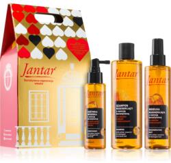 Farmona Natural Cosmetics Laboratory Jantar Damaged Hair ajándékszett hajra 3 db
