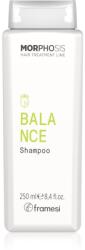 Framesi Morphosis Balance Shampoo tisztító sampon zsíros hajra 250 ml