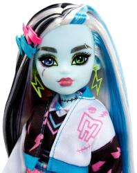 Mattel Monster High Papusa Frankie Stein Cu Animalut Si Accesorii (MTHHK53) - ookee Papusa