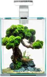 AQUAEL Set acvariu Aquael SHRIMP SMART Day & Night alb 20x20x25cm 10l