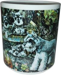 Porcelán bögre - Törpe Schnauzer kölykökkel