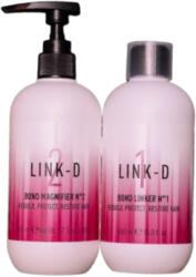 Elgon Link-D Salon KIT 2*500 ml