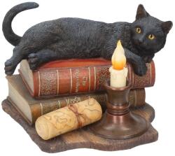 Nemesis Now Statuetă Nemesis Now Adult: Gothic - The Witching Hour (By Lisa Parker), 20 cm (B2801G6) Figurina