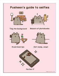 Pyramid Tablou Art Print Pyramid Animation: Pusheen - Guide To Selfies (LFP12166P)