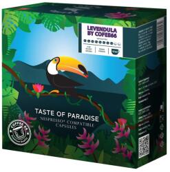 Coffee66 Levendula TOUCAN NESPRESSO® KOMPATIBILIS KÁVÉKAPSZULA 20db