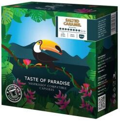 Coffee66 Salted Caramel TOUCAN NESPRESSO® KOMPATIBILIS KÁVÉKAPSZULA 20db