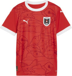 PUMA Bluza Puma ÖFB HOME Jersey Replica Jr 2024 774012-01 Marime 116 (774012-01)