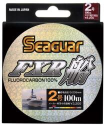 Seaguar fxr fune 100m 2pe (SG8F0-200) - nextfish