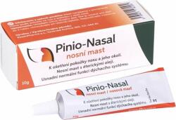 Pinio-Nasal unguent nazal 1×10 g, unguent nazal