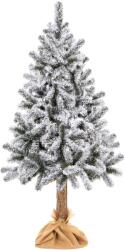 SPRINGOS Winter Glow havas Lucfenyő törzsön 1, 6m (CT0137)