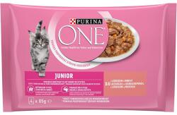 PURINA ONE JUNIOR multipack 12 x 85 g
