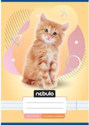 Nebulo Nebulo: Cica mintás 4. osztályos vonalas füzet A/5 21-32 (VO4-AM-A5-12346882) - innotechshop