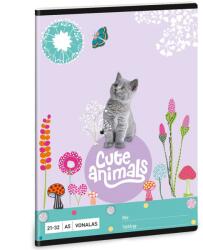 Ars Una Ars Una: Cute Animals - Kitten cicás vonalas füzet A/5 (53623683) - innotechshop