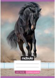 Nebulo Nebulo: Tűzött 2. osztályos vonalas füzet A5-ös 16-32 Cuki mintás - Lovas (VO2-CM-A5-12345755)