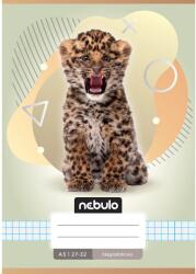 Nebulo Nebulo: Leo mintás kockás füzet A/5 27-32 (NR-AM-A5-12347063) - innotechshop