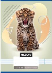 Nebulo Nebulo: Leo mintás 4. osztályos vonalas füzet A/5 21-32 (VO4-AM-A5-12346905) - innotechshop