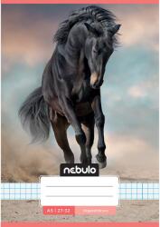 Nebulo Nebulo: Ló a homokban mintás kockás füzet A/5 27-32 (NR-CM-A5-12346516) - innotechshop