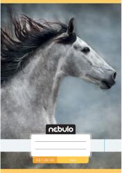 Nebulo Nebulo: Tűzött sima füzet A5-ös 20-32 Cuki mintás - Lovas (SI-CM-A5-12346155)