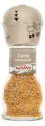 KOTÁNYI Fűszermalom KOTÁNYI curry 45g (14.02413)