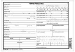  Nyomtatvány terhes törzslap 6 lapos A/5 fekvő (22721) - irodaszer