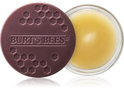 Burt's Bees Lip Treatment tratament de noapte intensiv de buze 7.08 g