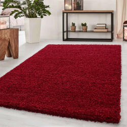  DREAM Szőnyeg - Plüss - Piros - 200x290 cm (GSSZDREAM2002904000RED)