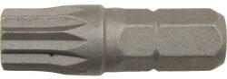 Cromwell bithegy 1/4" XZN 10mm x25 573-8538