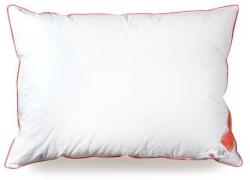 Best Sleep BestSleep, 70x70cm, 100% pehelytöltettel