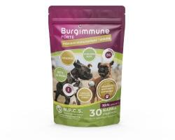 Burgimmune FORTE Prémium Immunerősítő Tabletta 30db - petguru