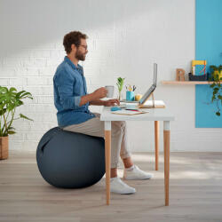 Esselte Leitz Ergo Cosy ülőlabda bársony szürke 52790089 (CPX-539005)