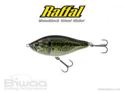 Biwaa GLIDER RAFFAL 3" S 7.5cm 17gr 01 Real Bass (B001780)