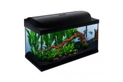 Tetra Starter Line - Akvárium szett fekete LED világítással 105 liter (T-305656)