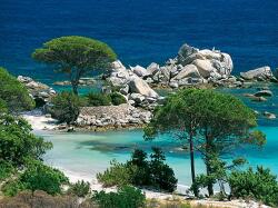 Nathan - Puzzle Plaja din Palombaggia, Corsica - 1 000 piese Puzzle
