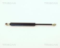 TRISCAN Amortizor portbagaj TRISCAN 8710 1009 (8710 1009) - automobilus