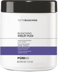 Pauco Pudra Decoloranta Puring Tutto Bleaching Violet Tonuri 500g