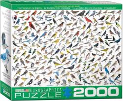 EUROGRAPHICS - Puzzle The World of Birds, by David Sibley - 2 000 piese