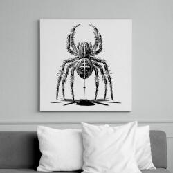 printfashion keresztespók - Vászonkép - Fehér (16685162)