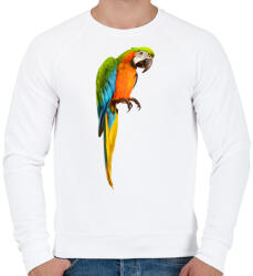 printfashion Papagáj - Férfi pulóver - Fehér (1015862)