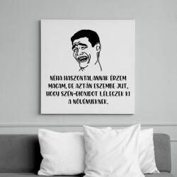 printfashion Néha haszontalannak érzem magam - Vászonkép - Fehér (6633776)