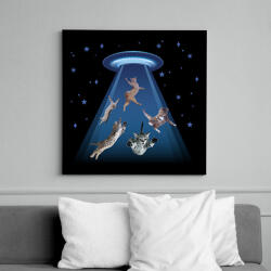 printfashion Elrabolt cicák - Vászonkép - Fekete (8751251)