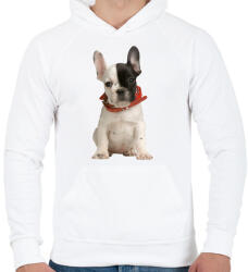 printfashion Francia bulldog - Férfi kapucnis pulóver - Fehér (1015309)
