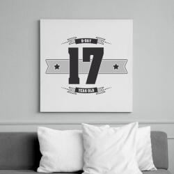 printfashion b-day-17-dark-lightgrey - Vászonkép - Fehér (6622796)