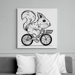 printfashion Mókus biciklin - Vászonkép - Fehér (13277101)