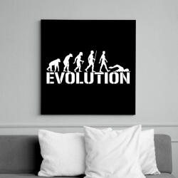 printfashion Úszás evolúció - Vászonkép - Fekete (6645793)