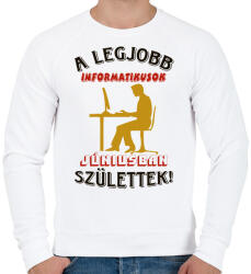 printfashion Informatikus férfi szülinapja június - Férfi pulóver - Fehér (5617039)