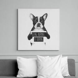 printfashion Being normal is boring - Vászonkép - Fehér (6621321)