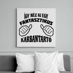printfashion Fantasztikus karbantartó - Vászonkép - Fehér (13950128)